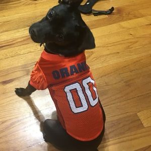 Meet your Posher, Dina vasta